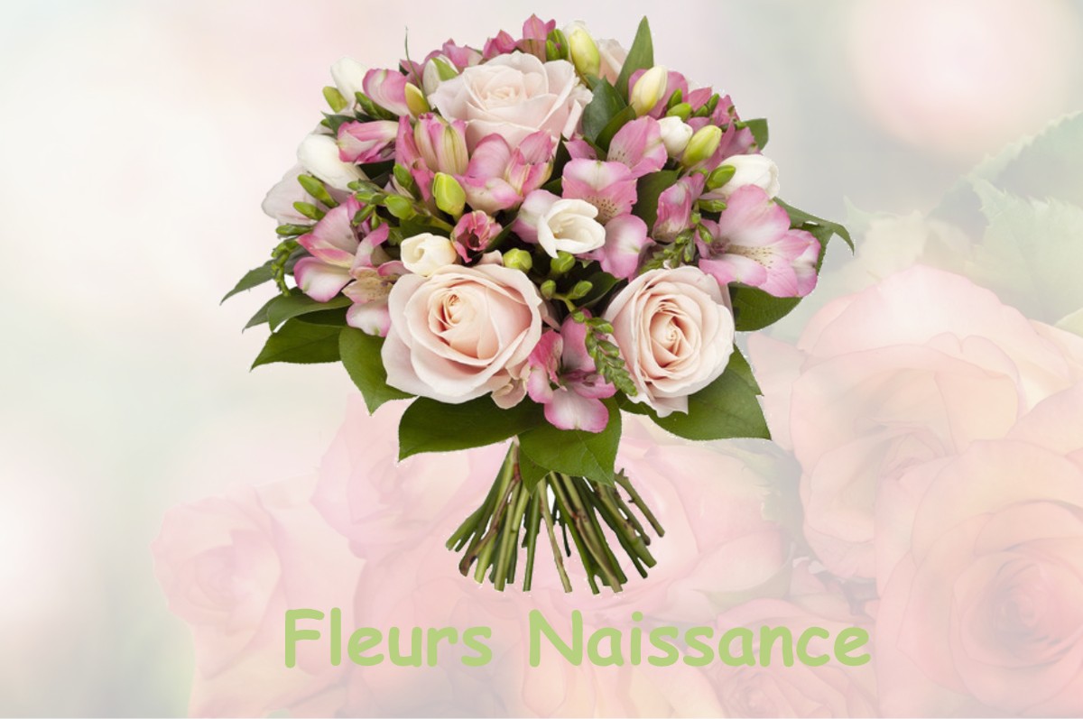 fleurs naissance GRAYE-ET-CHARNAY